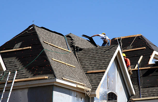 Best Gutter Installation and Roofing  in Triana, AL
